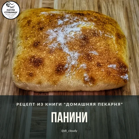 Панини