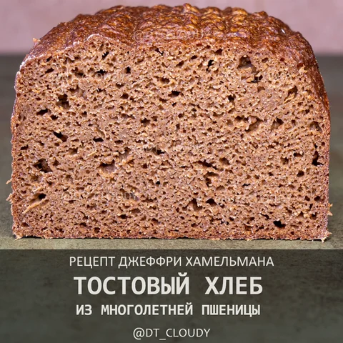 Тостовый хлеб из многолетней пшеницы
