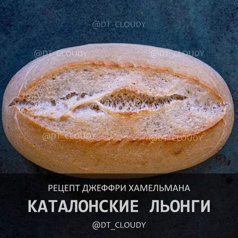 Каталонские льонги